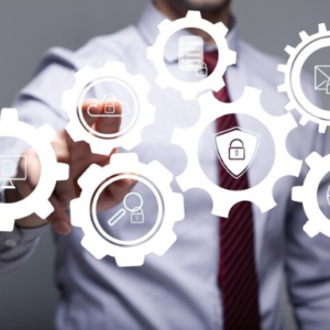 Professional Lean Management: Service Industry