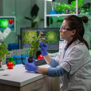 Marine Biology Course - Online Diploma